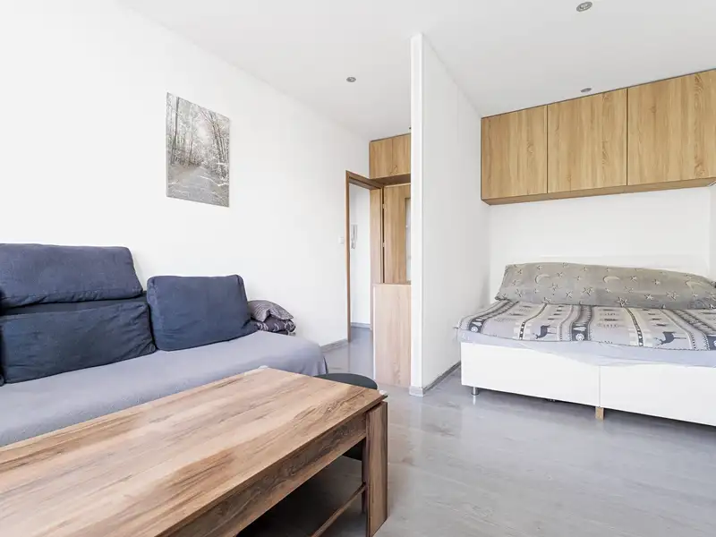 Prodej bytu 1+1 35 m², Zlín – náhled fotky 2