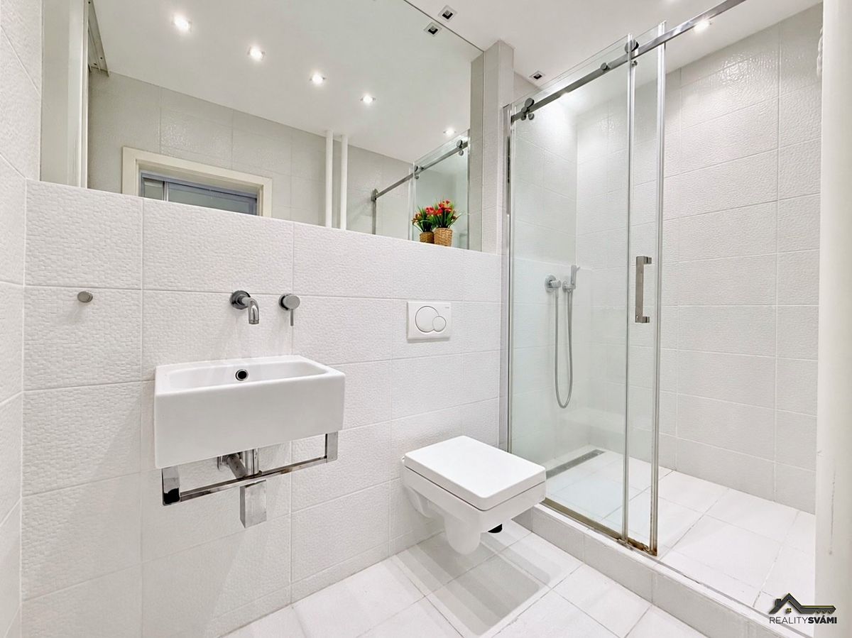 Pronájem bytu 2+1 54 m² – fotografie 5
