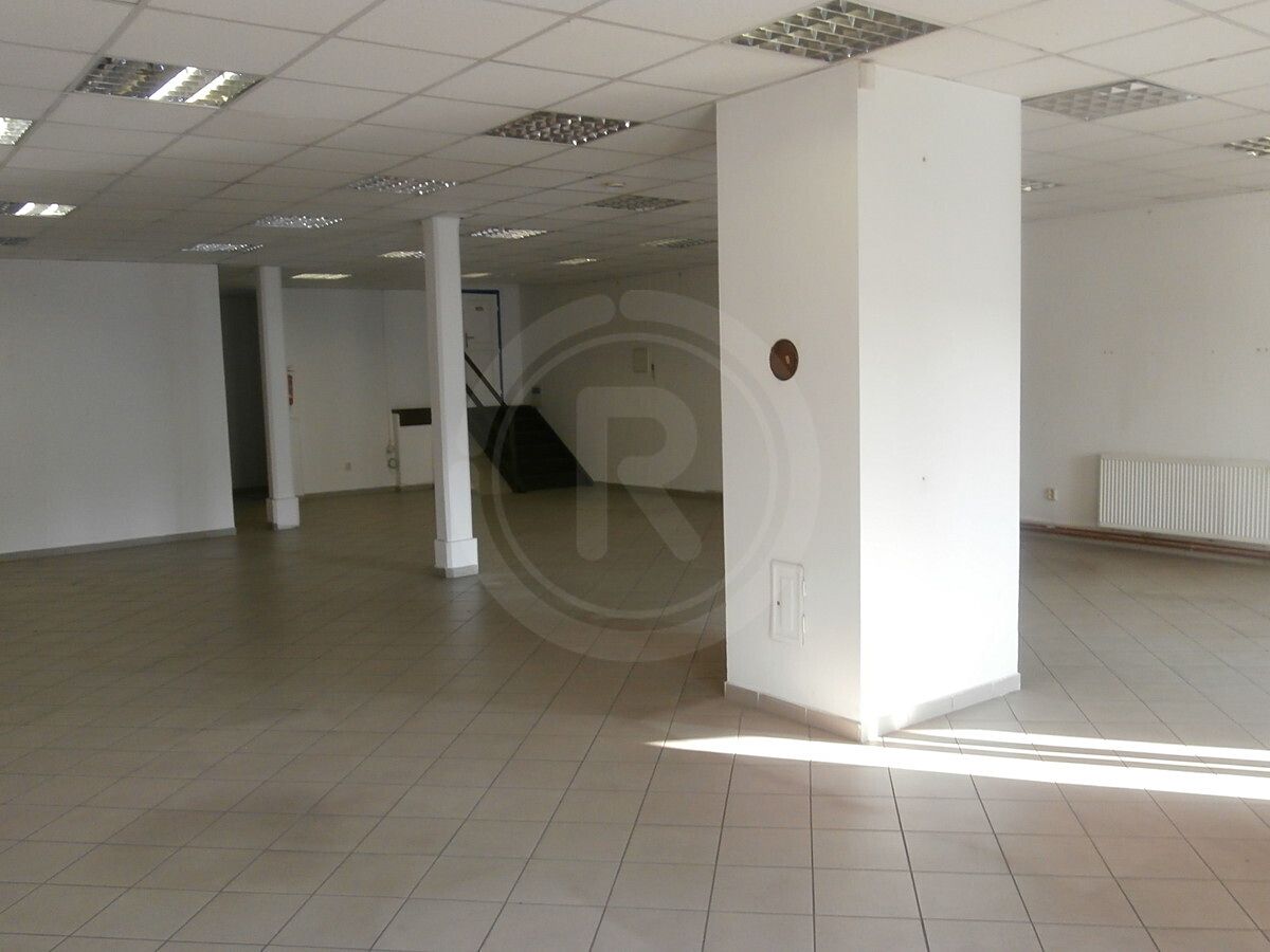 Pronájem obchodního prostoru 300 m² – fotografie 3