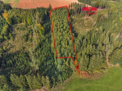 Prodej lesa 8513 m²