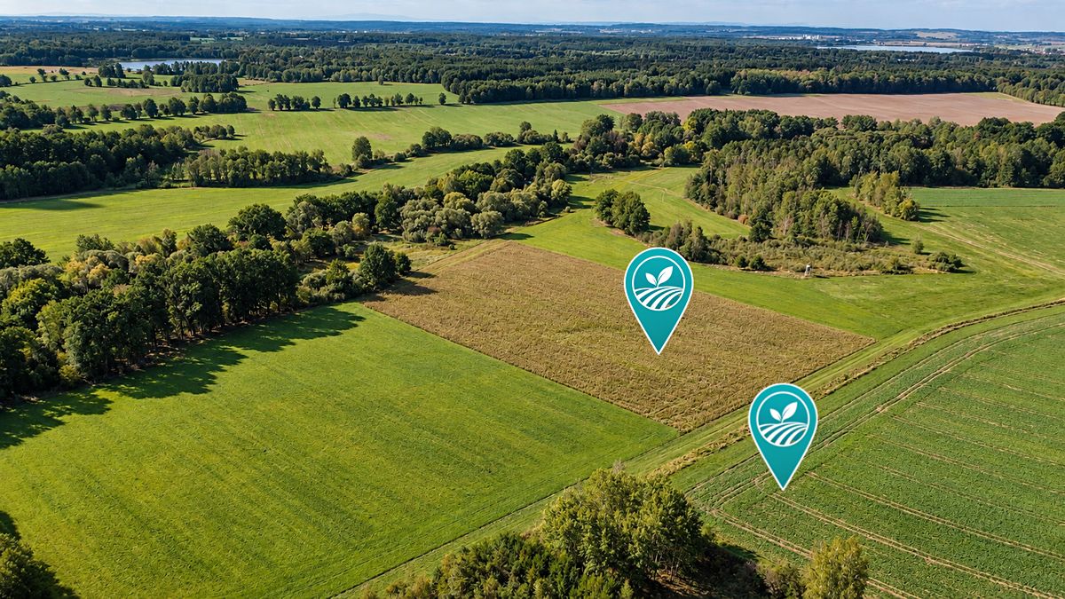 Prodej pole 10326 m² – fotografie 2