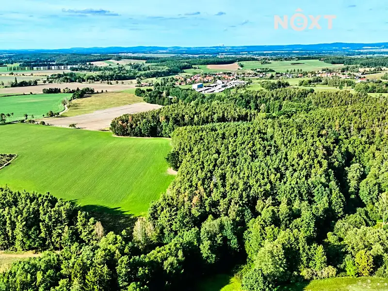 Prodej lesa 13404 m², Lipí – náhled fotky 3