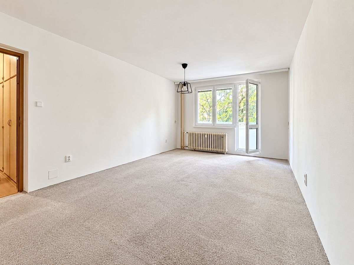 Pronájem bytu 2+1 53 m² – fotografie 3