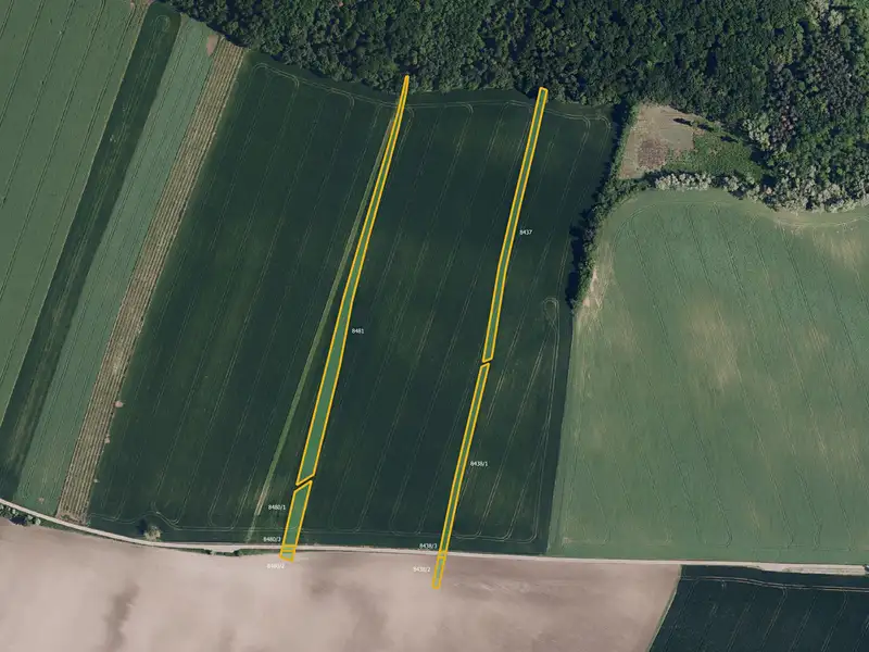 Prodej pole 8291 m², Borkovany – náhled fotky 1