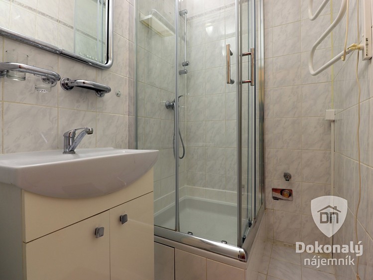 Pronájem bytu 1+kk, 43 m² (4 z 12)
