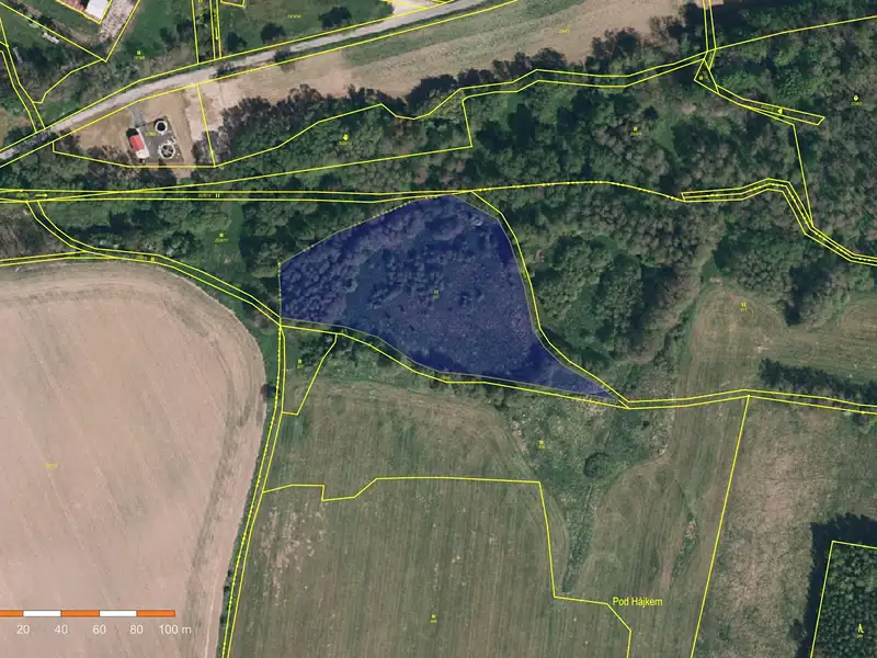 Prodej louky 9422 m², Velké Heraltice – náhled fotky 2