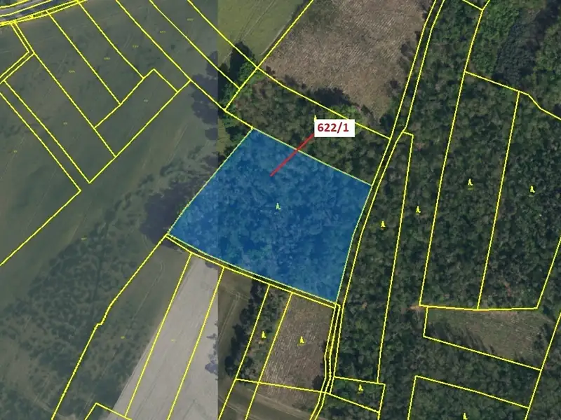 Dražba lesa 12017 m², Bernardov – náhled fotky 2