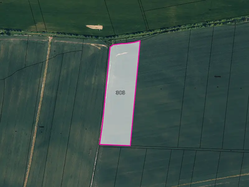 Prodej pole 6776 m², Litohoř – náhled fotky 1
