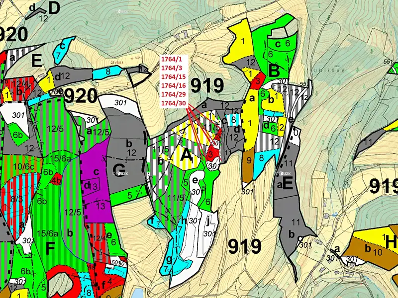 Dražba lesa 10498 m², Trnava – náhled fotky 3