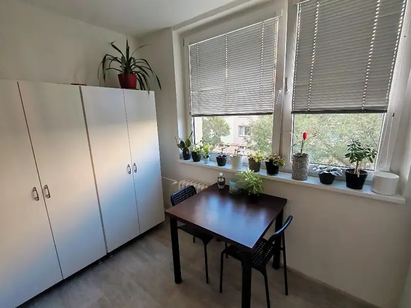 Pronájem bytu 1+1 35 m², Prostějov – náhled fotky 3