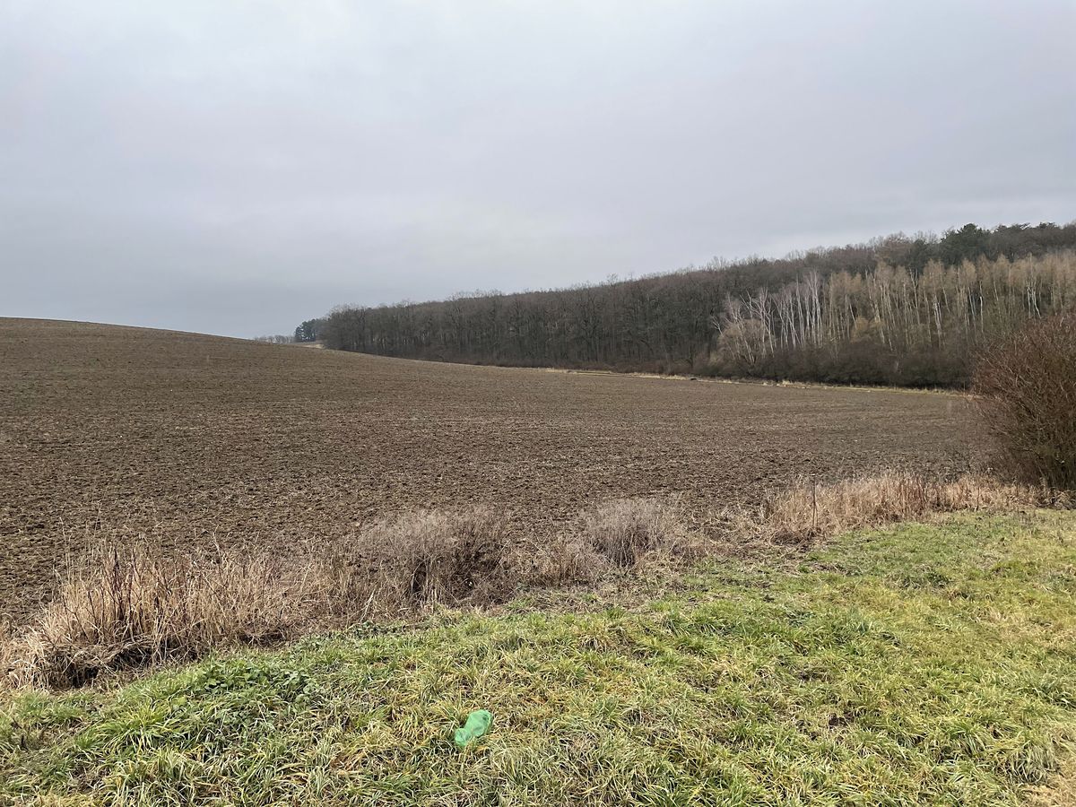 Prodej pole 98148 m² – fotografie 5