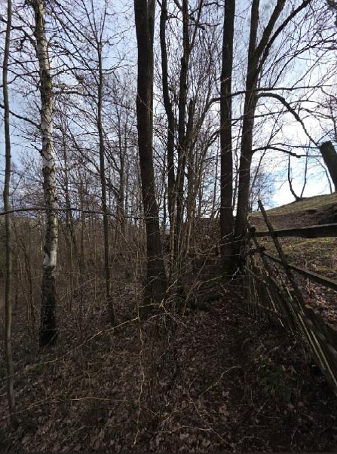 Prodej lesa 3079 m²