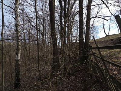 Prodej lesa 3079 m²