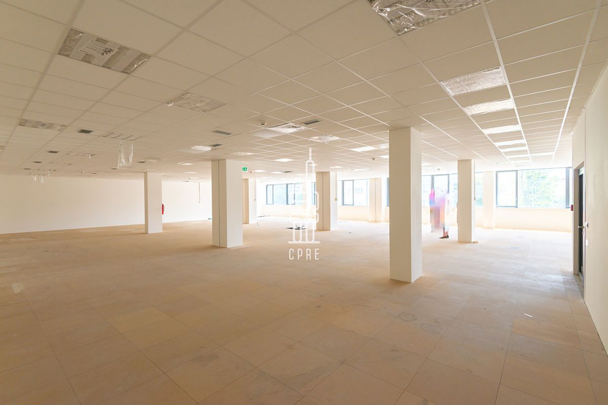 Pronájem kanceláře 467 m² – fotografie 5