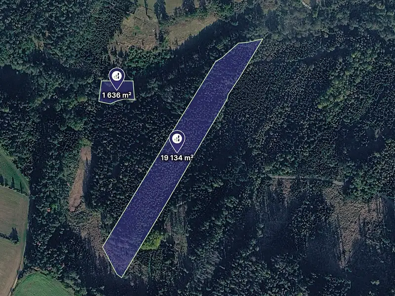 Prodej lesa 22679 m², Kladruby – náhled fotky 1