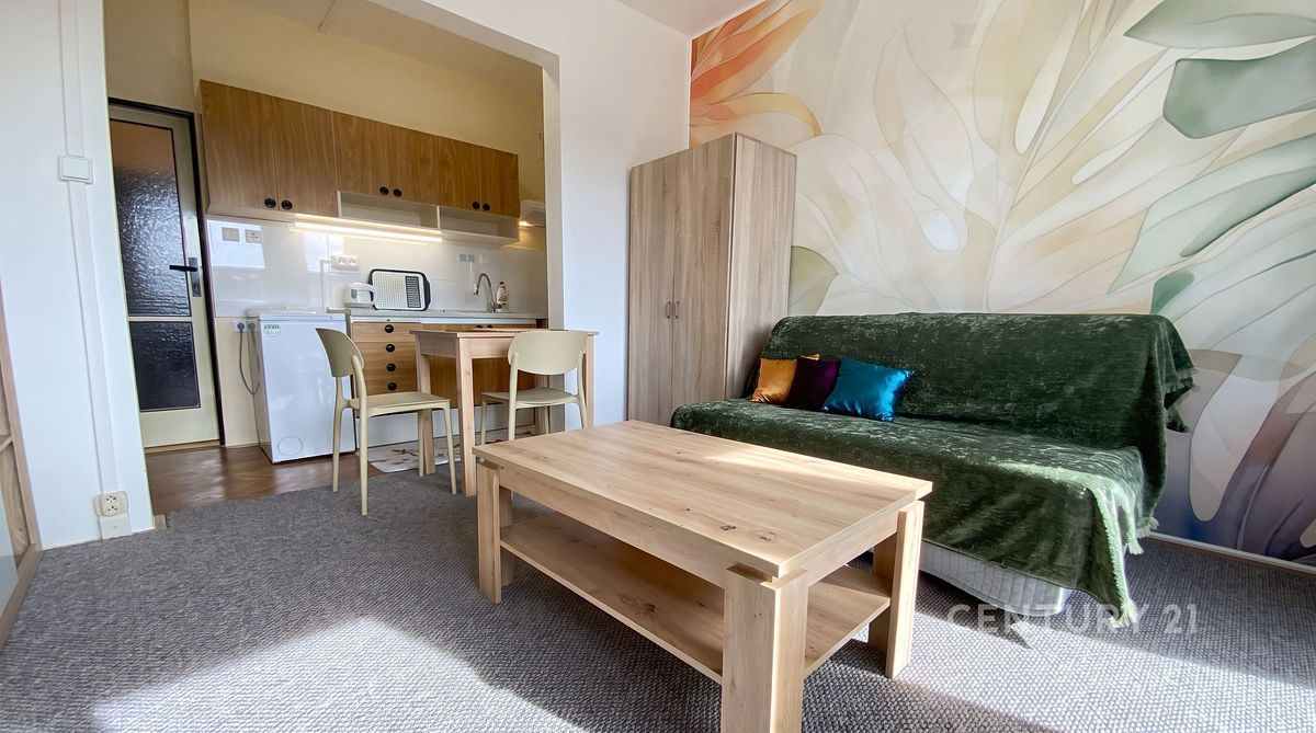 Pronájem bytu 1+kk 28 m² – fotografie 3