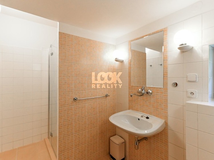 Будинок в оренду, 417 м² (13 з 39)