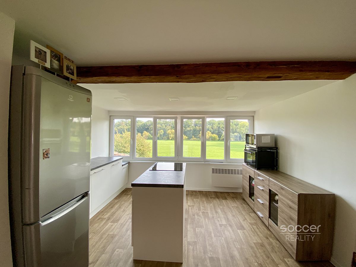 Pronájem bytu 1+kk 45 m² – fotografie 4