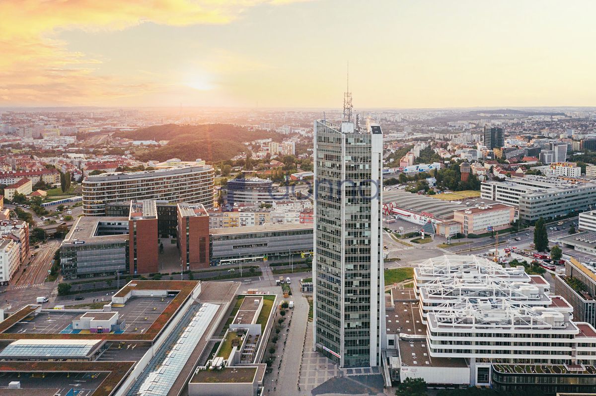 Pronájem kanceláře 31 m² – fotografie 3