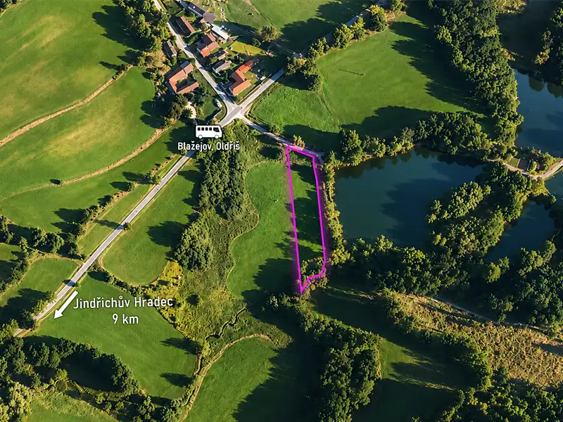 Prodej louky 2841 m², Blažejov – náhled fotky 2