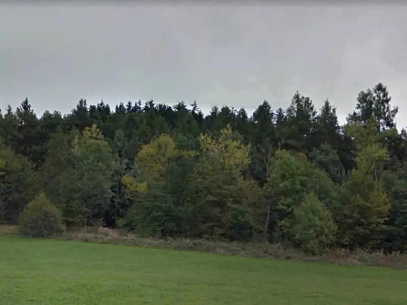Prodej lesa 8007 m², Nový Jičín – náhled fotky 2