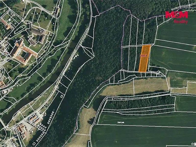Prodej lesa 2465 m², Zlatá Koruna – náhled fotky 3