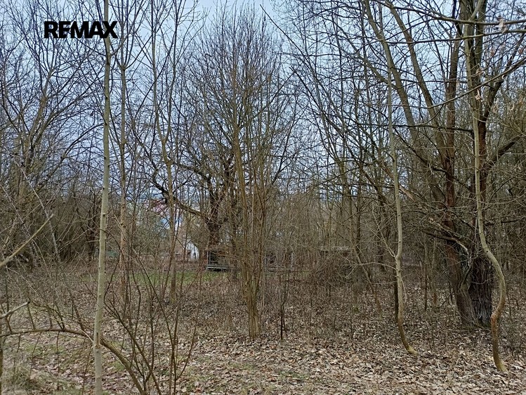 Grundstück zum Kauf, 3.482 m² (7 von 8)