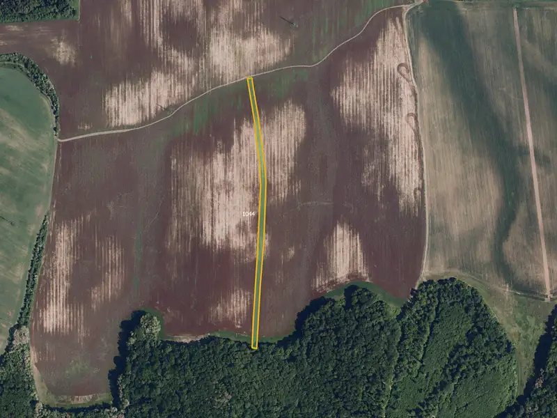 Prodej pole 6477 m², Boleradice – náhled fotky 2