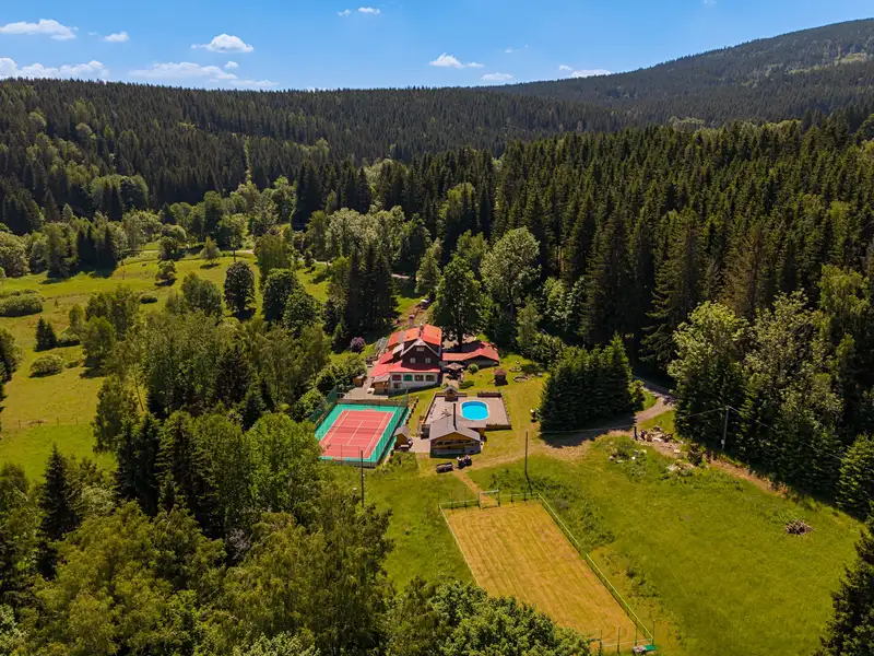 Prodej louky 44000 m², Bartošovice v Orlických horách – náhled fotky 3