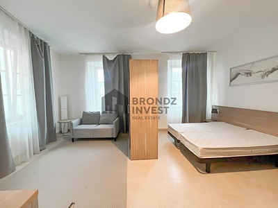 Pronájem bytu 1+kk, 38 m² (3 z 9)