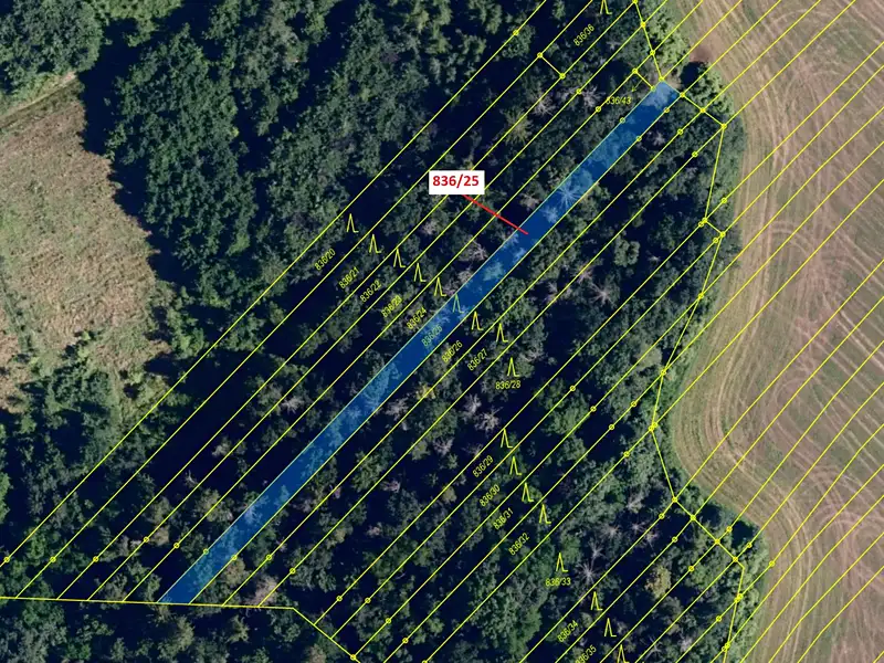 Dražba lesa 907 m², Ketkovice – náhled fotky 2