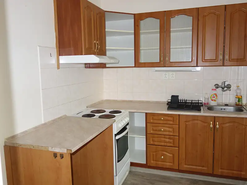Pronájem bytu 2+1 64 m², Brno – náhled fotky 1