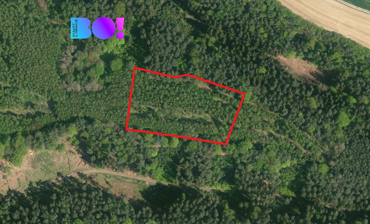 Prodej pole 9554 m² – fotografie 2