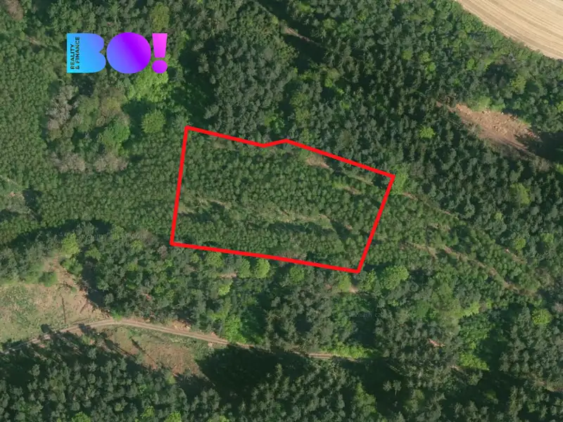 Prodej pole 9554 m², Doksy – náhled fotky 2