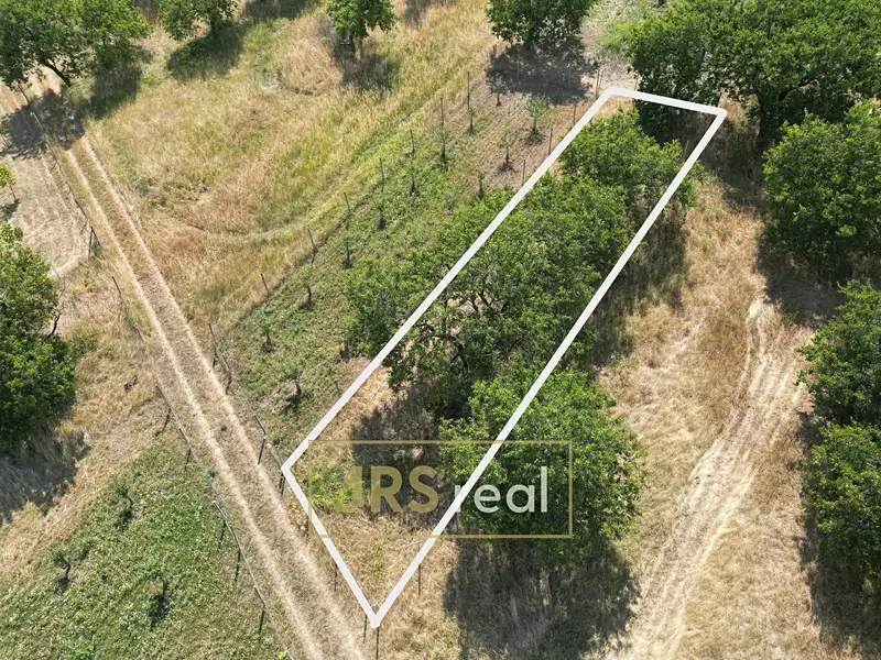 Prodej sadu, vinice 358 m², Němčičky – náhled fotky 2