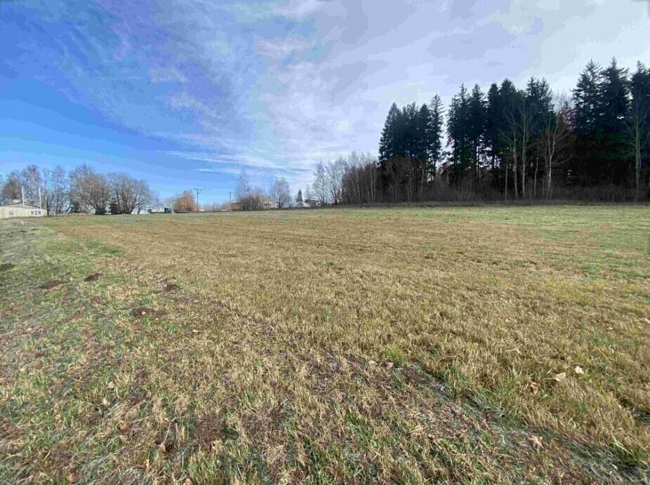 Prodej pole 3624 m² – fotografie 2
