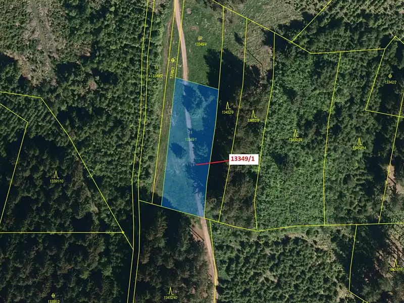 Dražba louky 1868 m², Hovězí – náhled fotky 2
