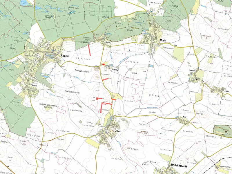 Prodej pole 11704 m², Loučeň – náhled fotky 2