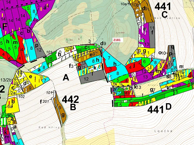Dražba lesa 4236 m², Louňovice pod Blaníkem – náhled fotky 3
