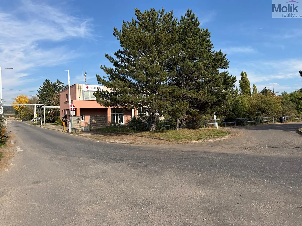 Fotka 10 z 12