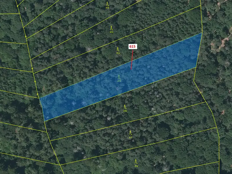 Dražba lesa 4478 m², Rabí – náhled fotky 2