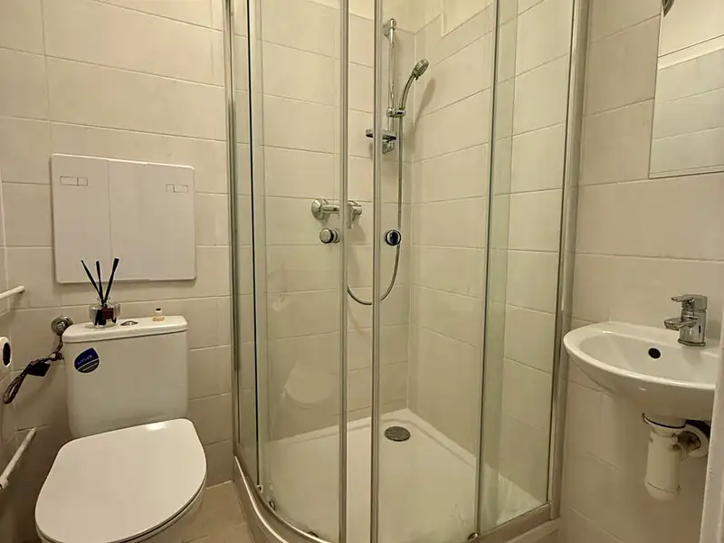 Pronájem bytu 1+1 28 m², Plzeň – náhled fotky 3
