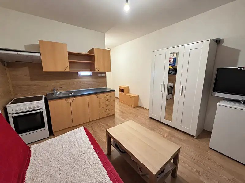 Pronájem bytu 1+kk 21 m², Lovosice – náhled fotky 2