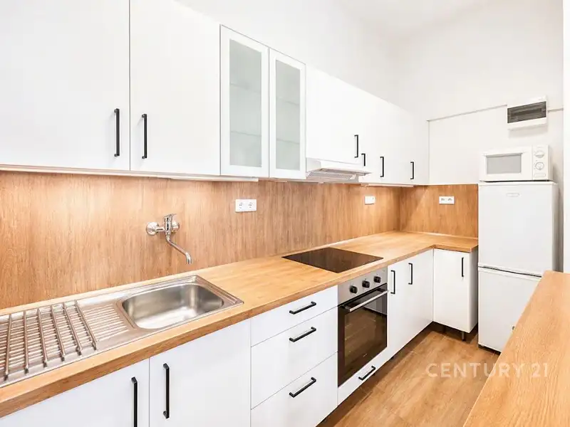 Pronájem bytu 2+1 55 m², Praha – náhled fotky 1