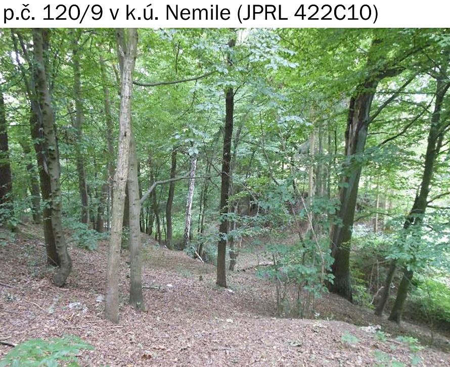 Prodej lesa 323 m² – fotografie 2
