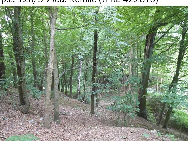 Grundstück zum Kauf, 323 m² (2 von 7)