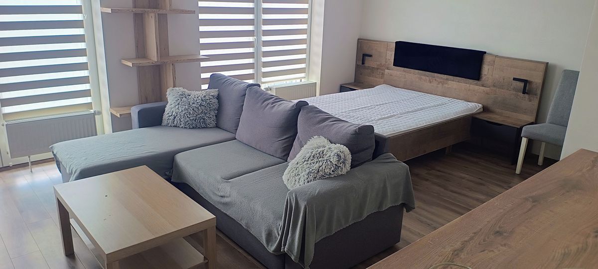 Pronájem bytu 1+kk 42 m² – fotografie 3