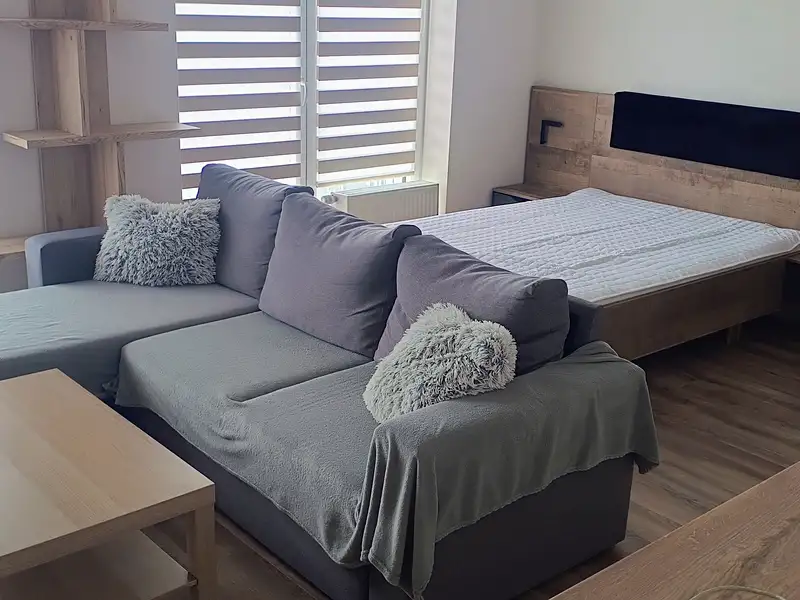 Pronájem bytu 1+kk 42 m², Plzeň – náhled fotky 3