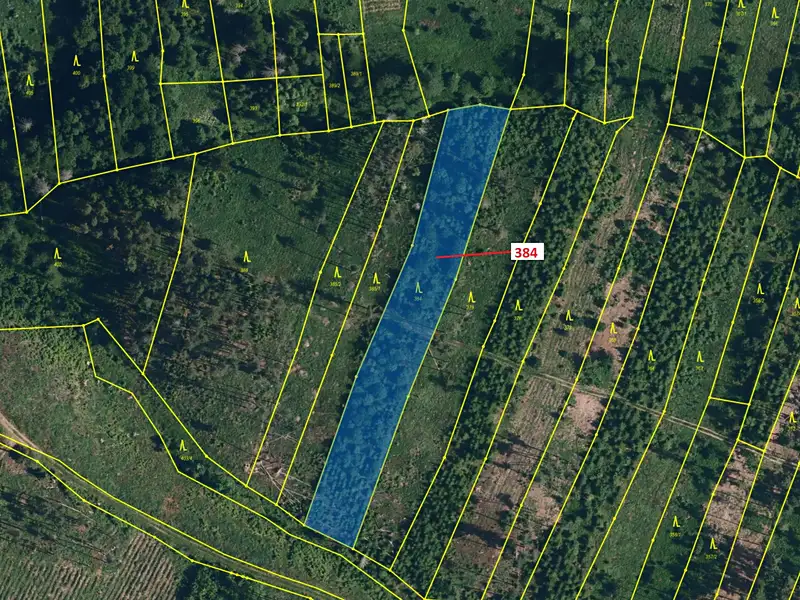 Dražba lesa 4302 m², Chotěbudice – náhled fotky 2
