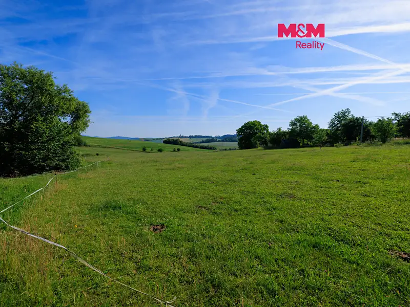 Prodej stavebního pozemku 2635 m², Javor – náhled fotky 1